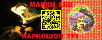 шишки Новокубанск