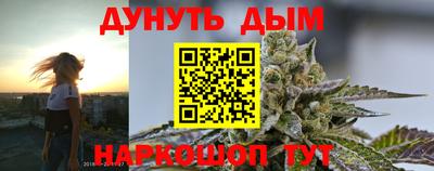 шишки Новокубанск