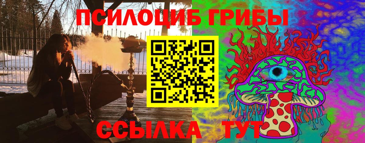 Галлюциногенные грибы Psilocybine cubensis Топки