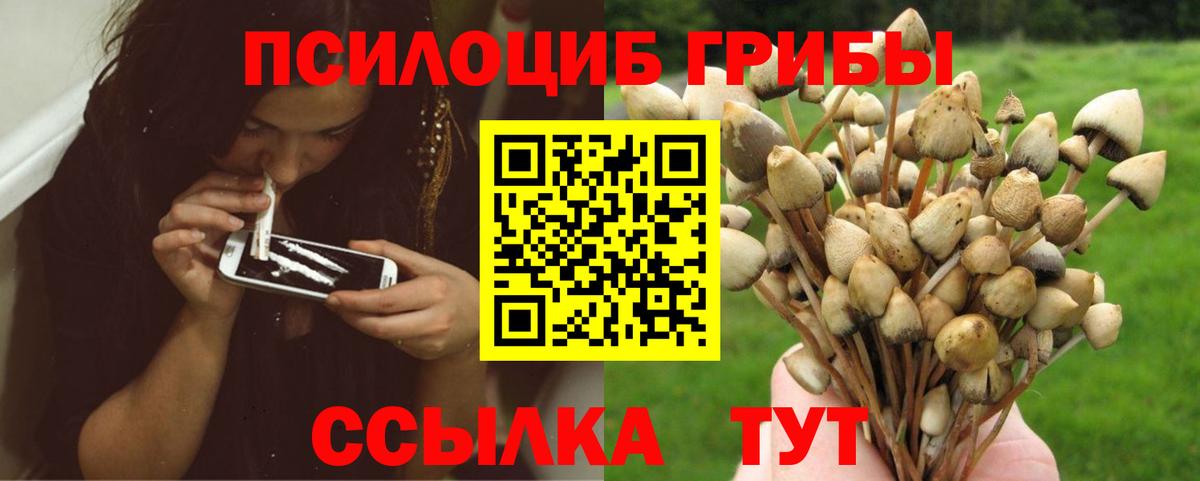 Галлюциногенные грибы мицелий  Вход с VPN  Топки 